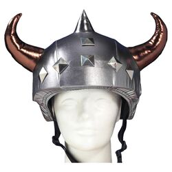 Viking Helmet Cover in Silver