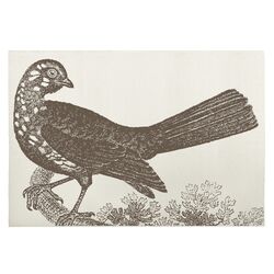 Ornithology Bath Mat in Slate