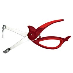 Animal House Woodpecker Cherry & Olive Pitter in Red