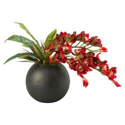 Cymbidium Orchids in Resin Ball Planter in Red