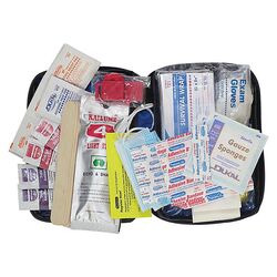 105 Piece Physicianscare Soft-Sided First Aid & Emergency Kit in ...