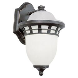 1 Light Outdoor Wall Lantern in Antique Pewter