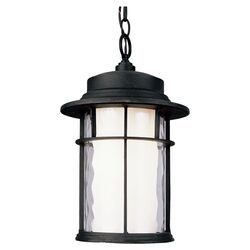 1 Light Outdoor Hanging Lantern in Black