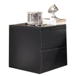 Scottsdale 2 Drawer Nightstand in Black