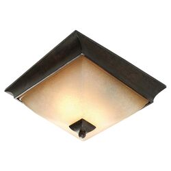 Brookfield 4 Light Vanity Light in Oil Rubbed Bronze