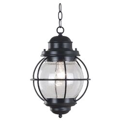 Walker 1 Light Hanging Lantern in Black