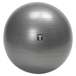 Exercise Ball in Gray