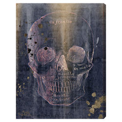 Dove White Graphic Canvas Art Dove White Graphic Canvas Art