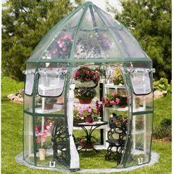 Plant Inn Raised Greenhouse in Silver