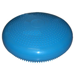 Balance Disk in Teal Balance Disk in Teal