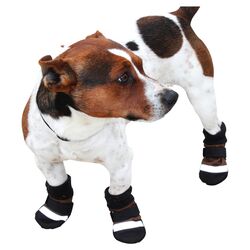 Dog Boots in Black (Set of 4)
