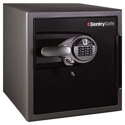 Fire Resistant Biometric Lock Safe in Black