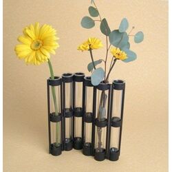 6 Tube Adjustable Clear Vase & Frame in Black