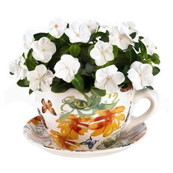 Floral Butterfly Teacup Planter