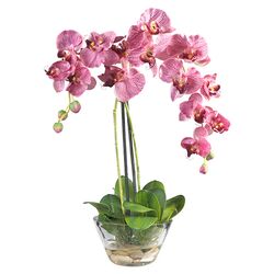 Phalaenopsis Silk Orchid Arrangement in Pink