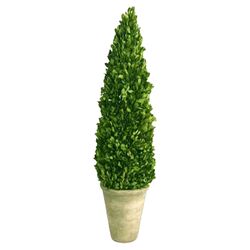 Dover Boxwood Cone Topiary in Green (Set of 2)