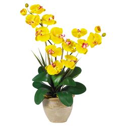 Phalaenopsis & Silk Orchid Arrangement in Yellow