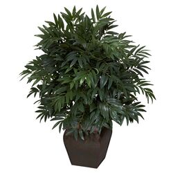 Double Bamboo Palm Silk Plant