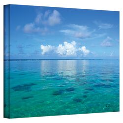 Beach, Paradise, & Seashells 4 Piece Canvas Art Set