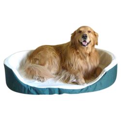 Lounger Orthopedic Dog Bed in Green