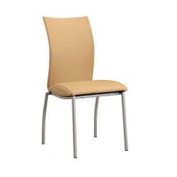 Side Chair with Curved Legs in Natural (Set of 2)