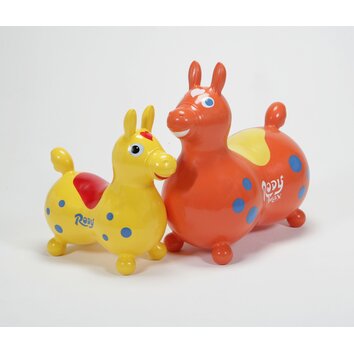 rody max gymnic