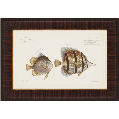 Paragon Antique Fish by Bloch Waterfront Art (Set of 4) - 19" x 27"