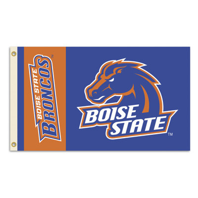 BSI Products NCAA Traditional Flag