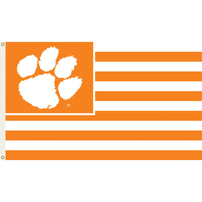 BSI Products NCAA Traditional Flag