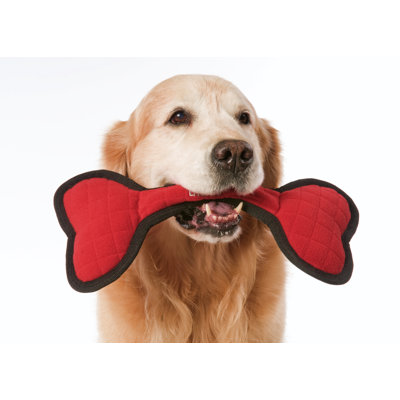 Tuff Enuff Bone Dog Toy