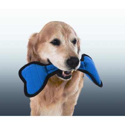 Tuff Enuff Bone Dog Toy