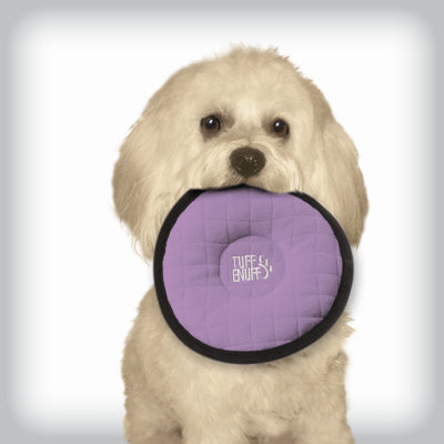 Tuff Enuff Small Breed Disc Dog Toy
