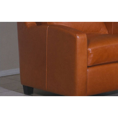 Omnia Furniture Chelsea Deco Leather Sleeper Sofa