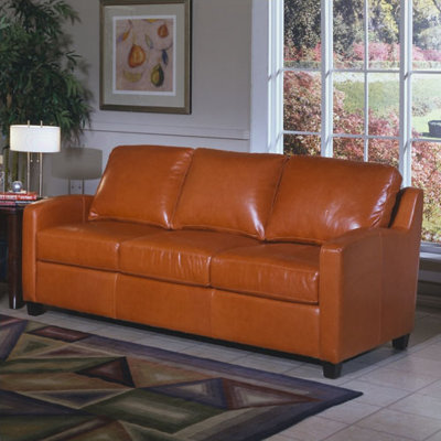 Omnia Furniture Chelsea Deco Leather Sleeper Sofa