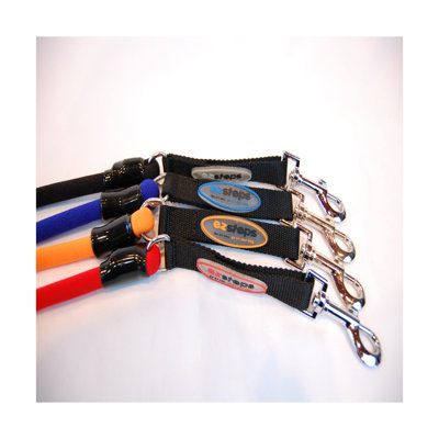 Bergan Pet Products Low Impact Dog Leash