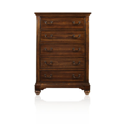 Cheyenne 5 Drawer Lingerie Chest by Hokku Designs -image
