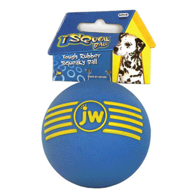 J.W. Pet Company Isqueak Ball Dog Toy
