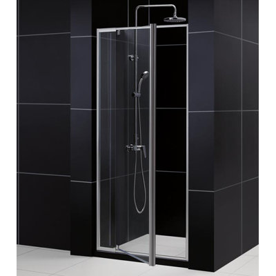 Dreamline Flex Shower Door