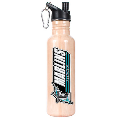 Great American Products MLB 26oz Stainless Steel Water Bottle with Pop-up Spout