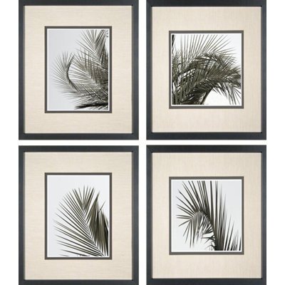 Phoenix Galleries Palm Leaf Framed Prints