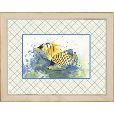 Phoenix Galleries Angel Fish Framed Prints