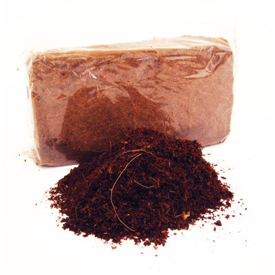 Nature's Footprint Coir Brick (5 kg)