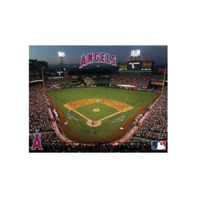 Artissimo Designs MLB Stadium Canvas Wall Art