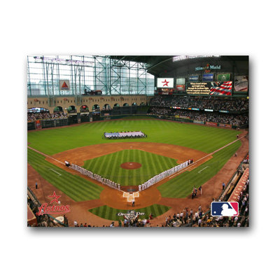 Artissimo Designs MLB Stadium Canvas Wall Art
