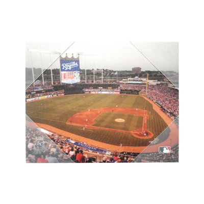 Artissimo Designs MLB Stadium Canvas Wall Art