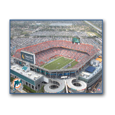 Artissimo Designs NFL Stadium Canvas Art