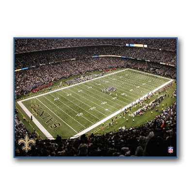 Artissimo Designs NFL Stadium Canvas Art