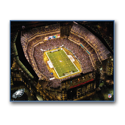 Artissimo Designs NFL Stadium Canvas Art