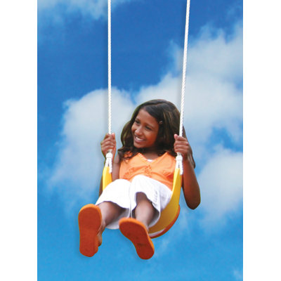 Big Backyard Belt Swing
