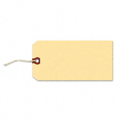 Avery Paper / Twine Shipping Tags